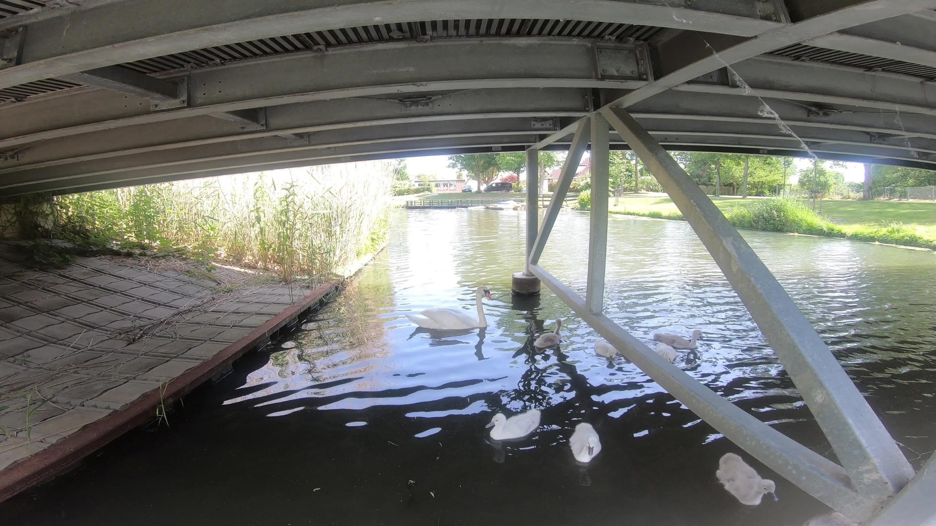 令人惊叹的风景河流和运河4k视频的预览图
