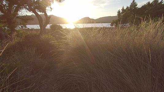 日落时在海边的环礁湖上拍摄植物和山丘视频的预览图