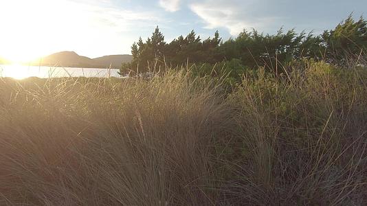 日落时在海边环礁湖上拍摄的电影中有草木和山丘背光视频的预览图