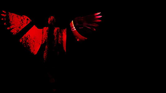 红色女性天使被黑色背景的阴影包围视频的预览图