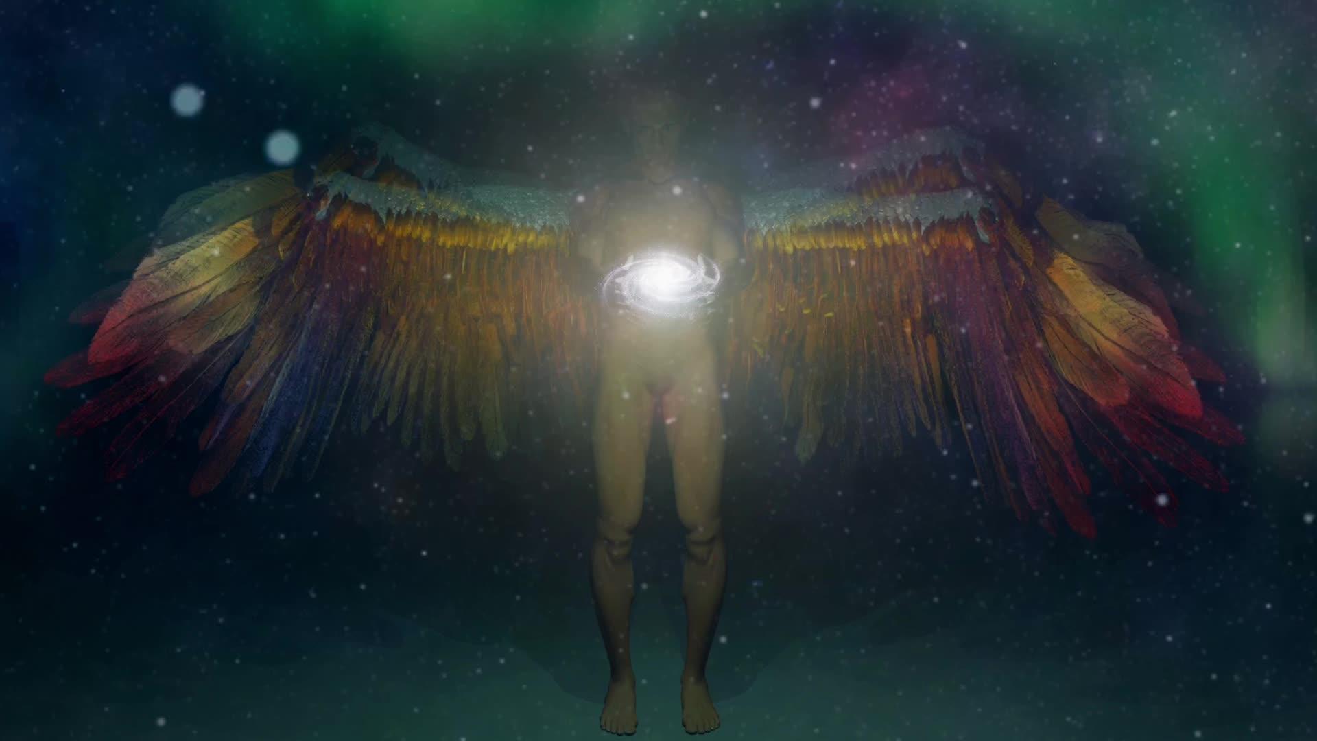 双翼天使视频的预览图