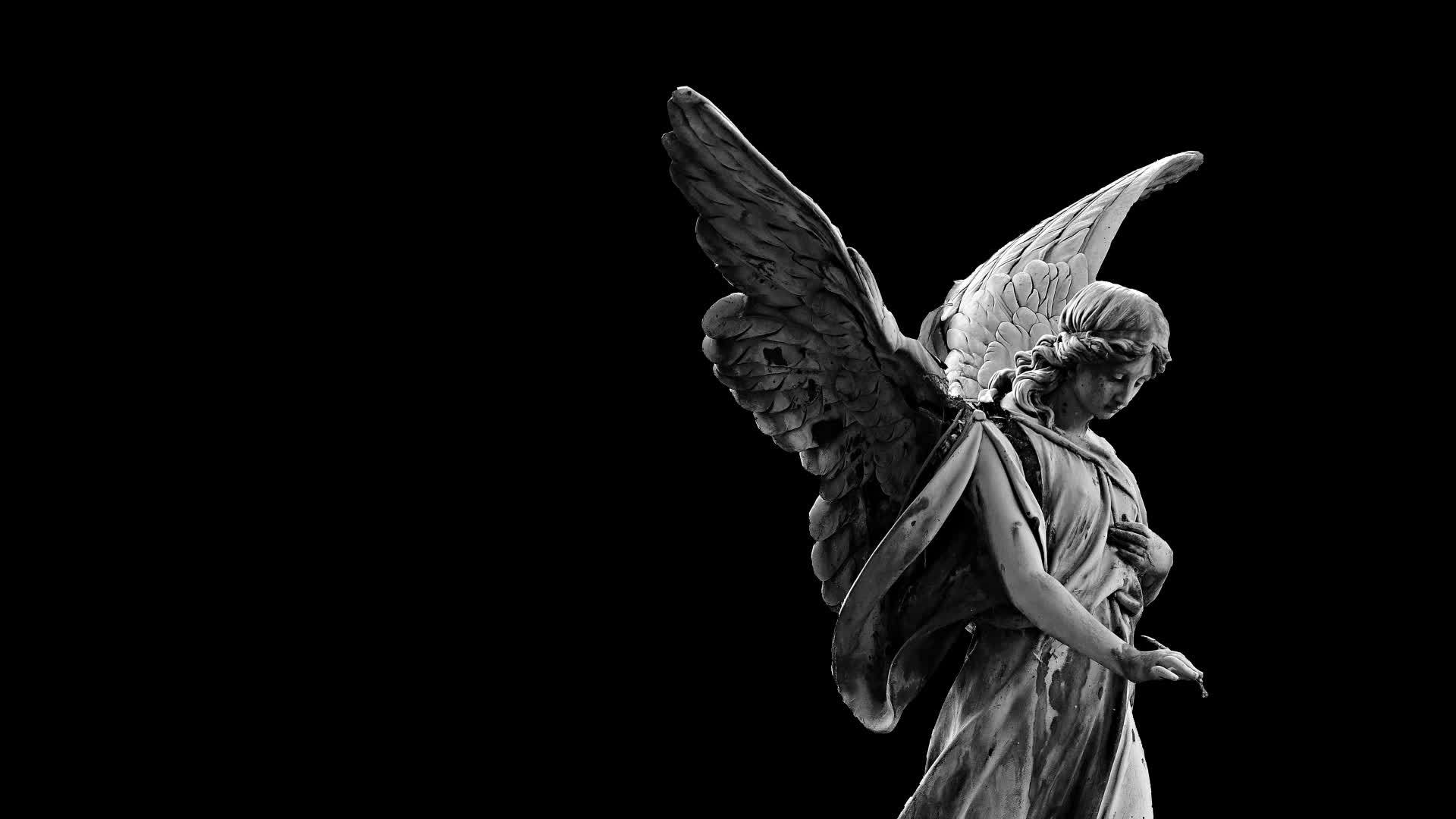 女性天使在黑色背景上摆动翅膀的动画视频的预览图