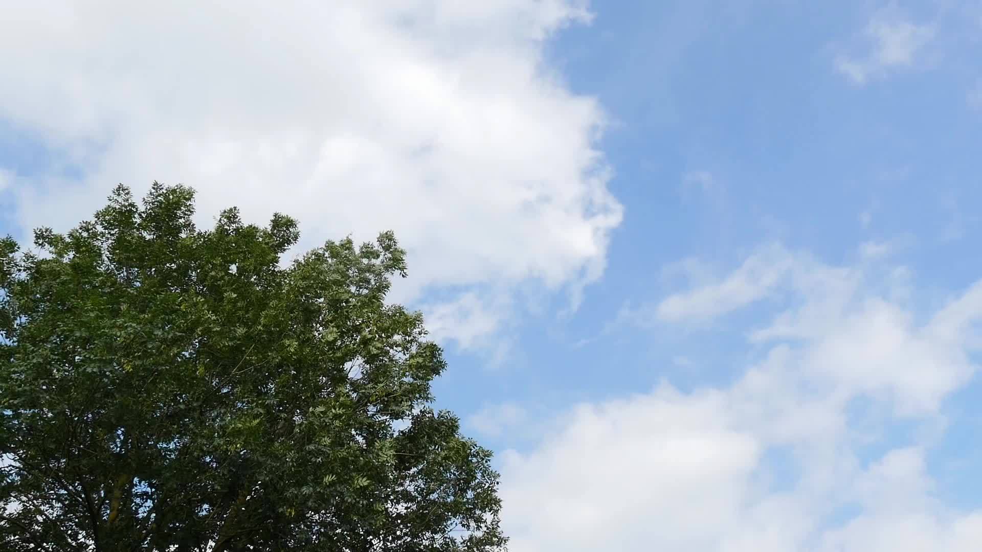 蓝天中的全蓝云视频的预览图