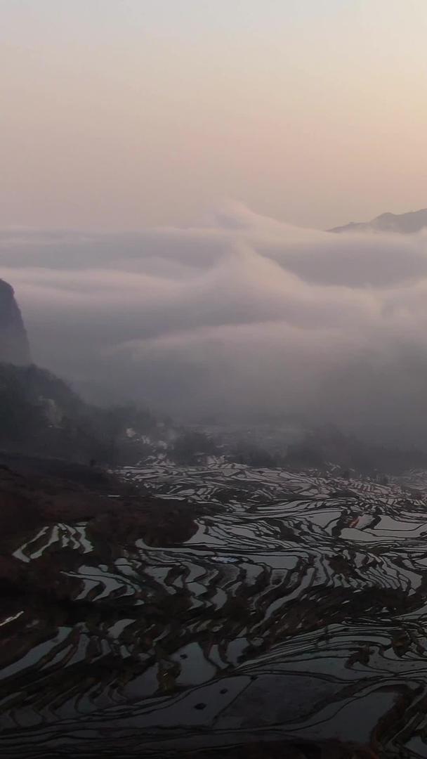 红河哈尼族梯田日出风景视频视频的预览图