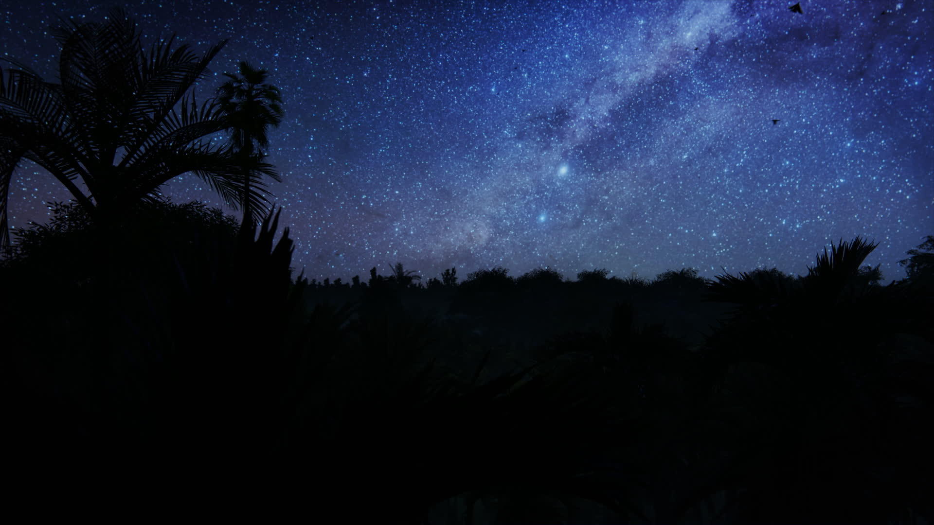 美丽的星丛林上方美丽的星空视频的预览图