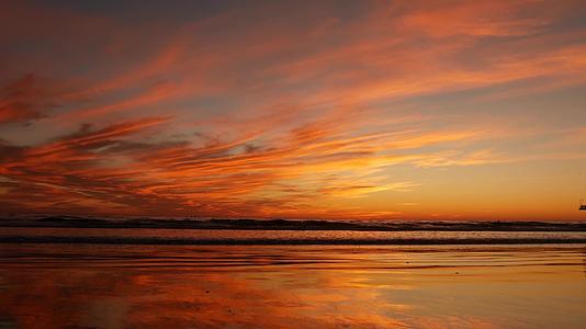 加州夏季海滩金色日落视频的预览图