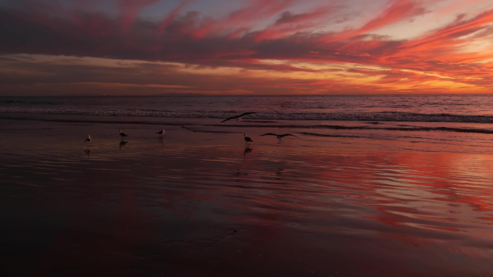 太平洋上的金色日落视频的预览图