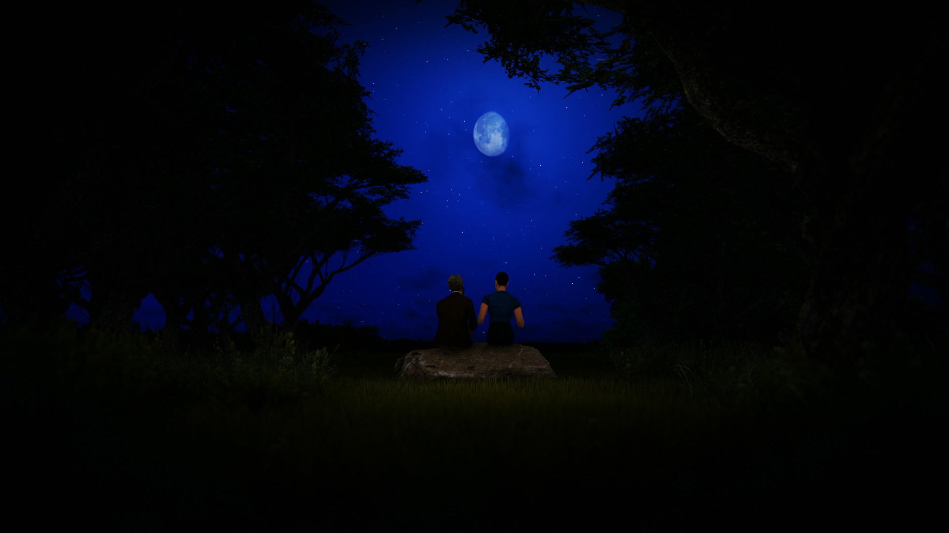 一对夫妇坐在满月和星空下的森林岩石上视频的预览图