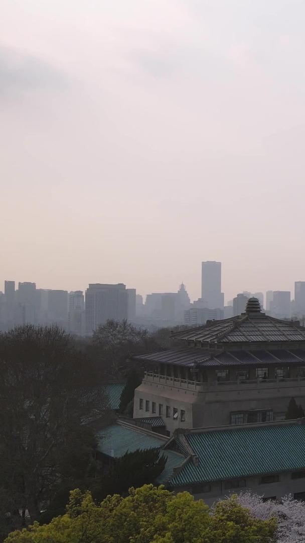 武汉大学樱花大道航拍素材视频的预览图