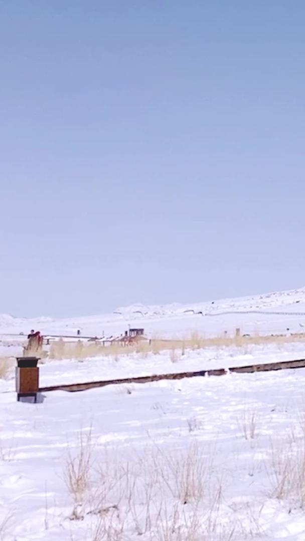 冬季新疆5A景区赛里木湖雪景视频的预览图