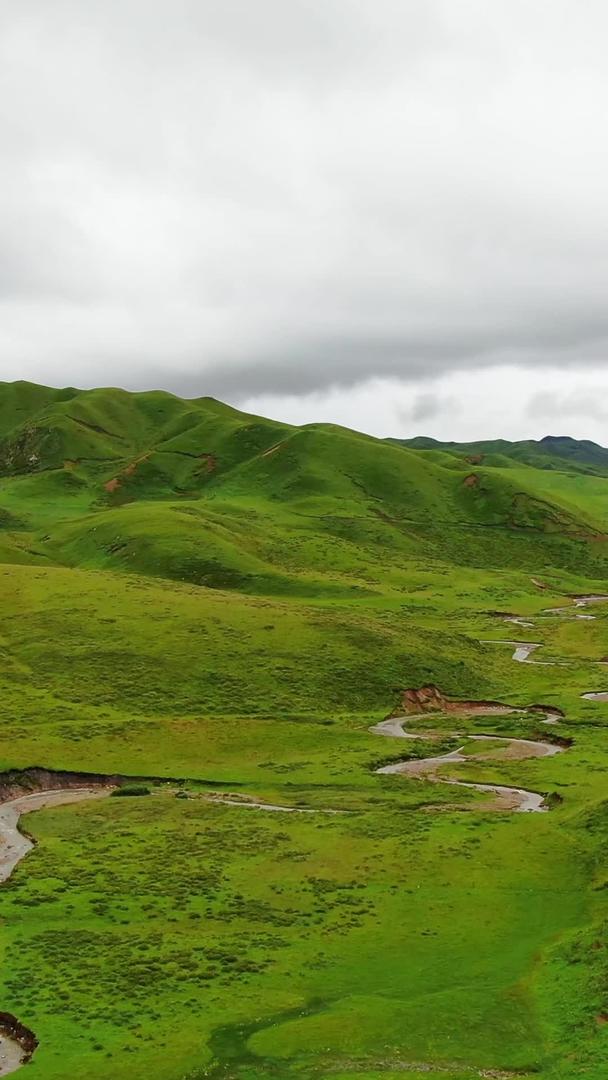 在绿色的山脉中蜿蜒的河流视频的预览图