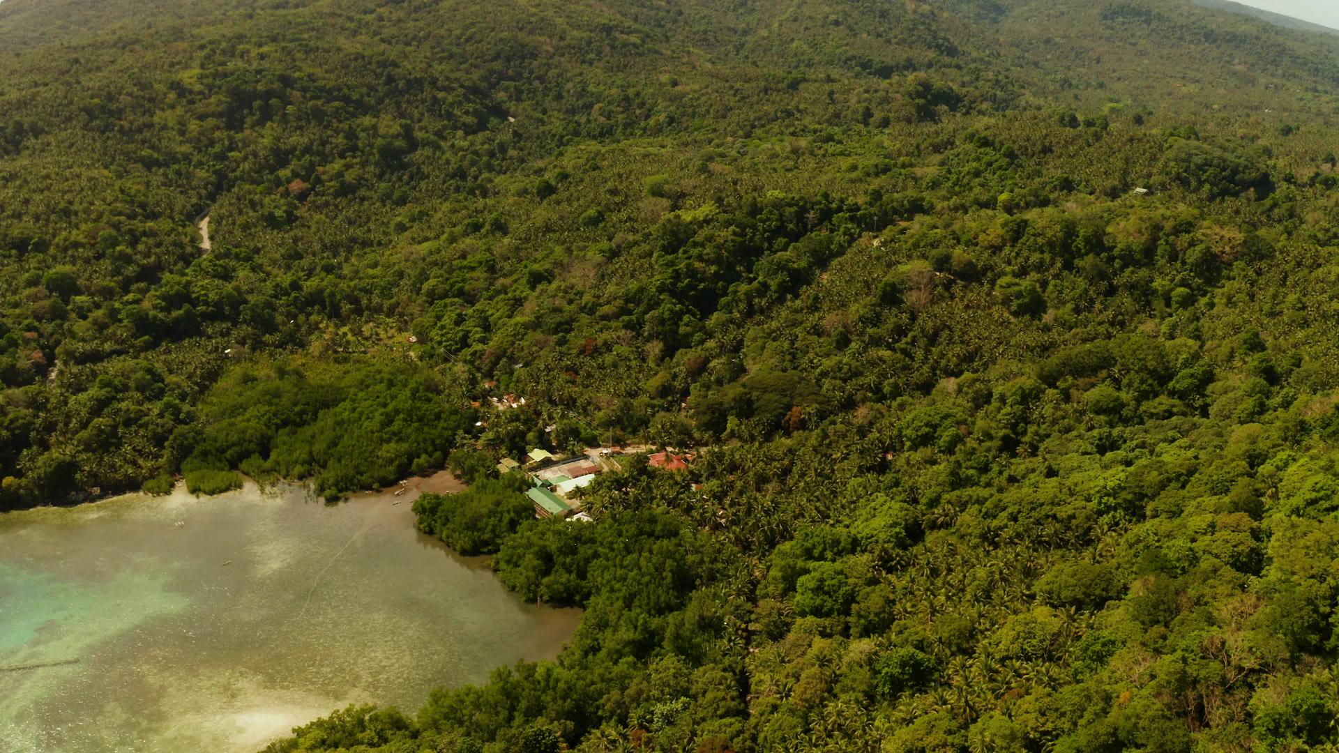 山上覆盖着雨林菲利平斯camiguin视频的预览图
