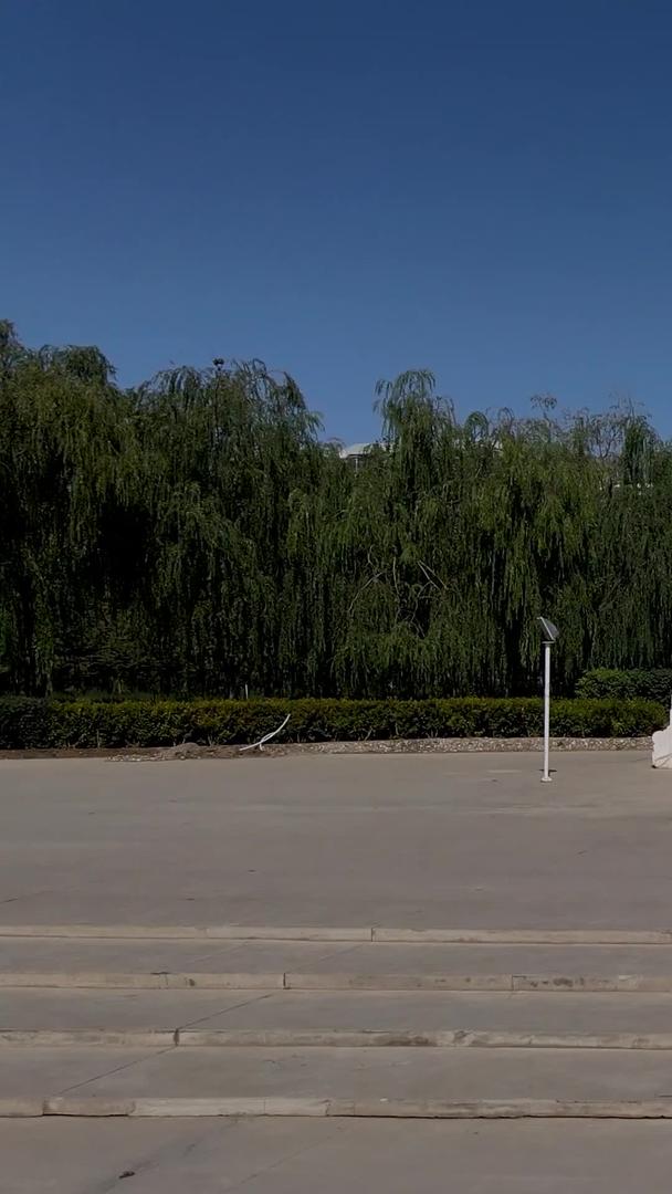 嘉峪关奥运会火炬台和城市景观视频的预览图