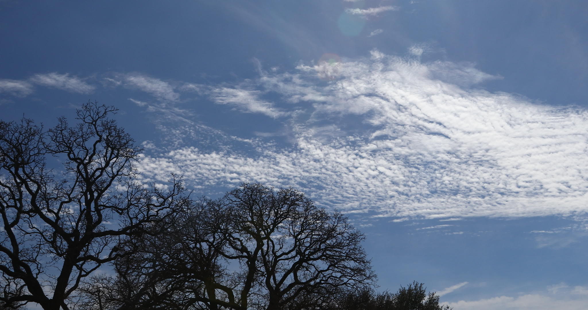 天空中有云在树后移动视频的预览图
