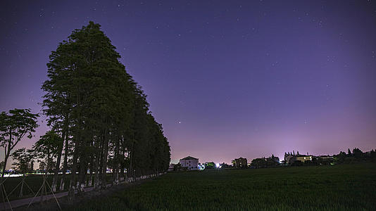 8K延时拍摄夜晚行道树旁的星空视频的预览图