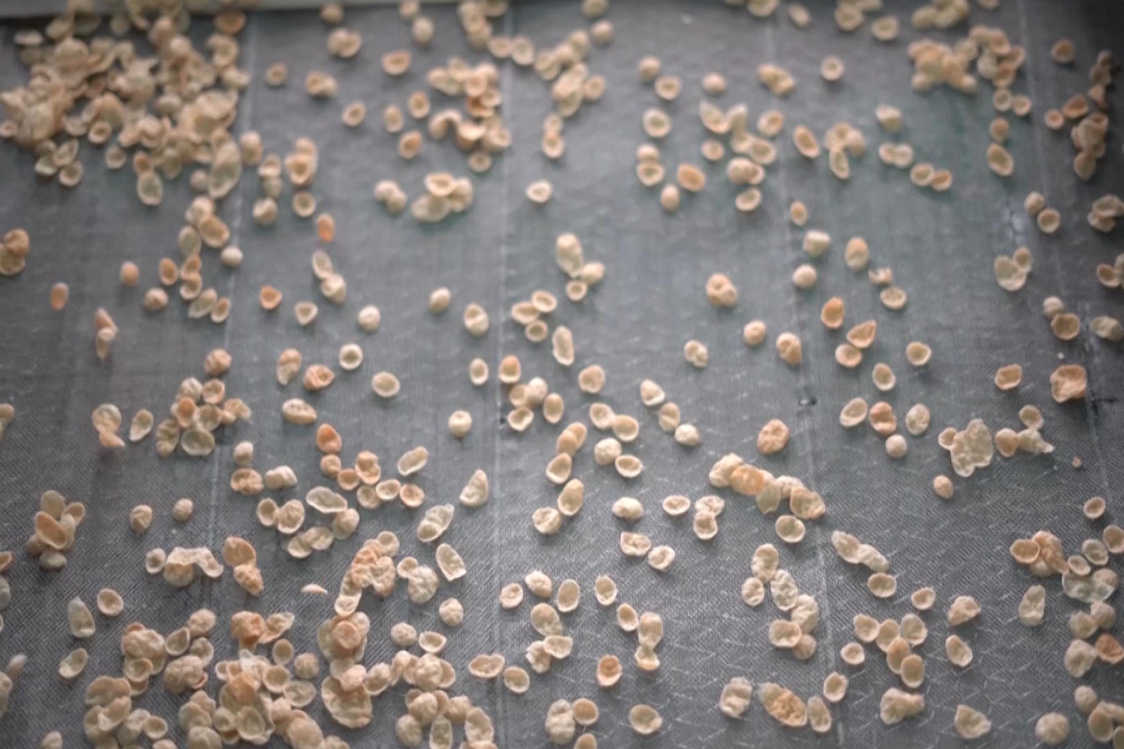 俯拍机器生产加工燕麦片视频的预览图