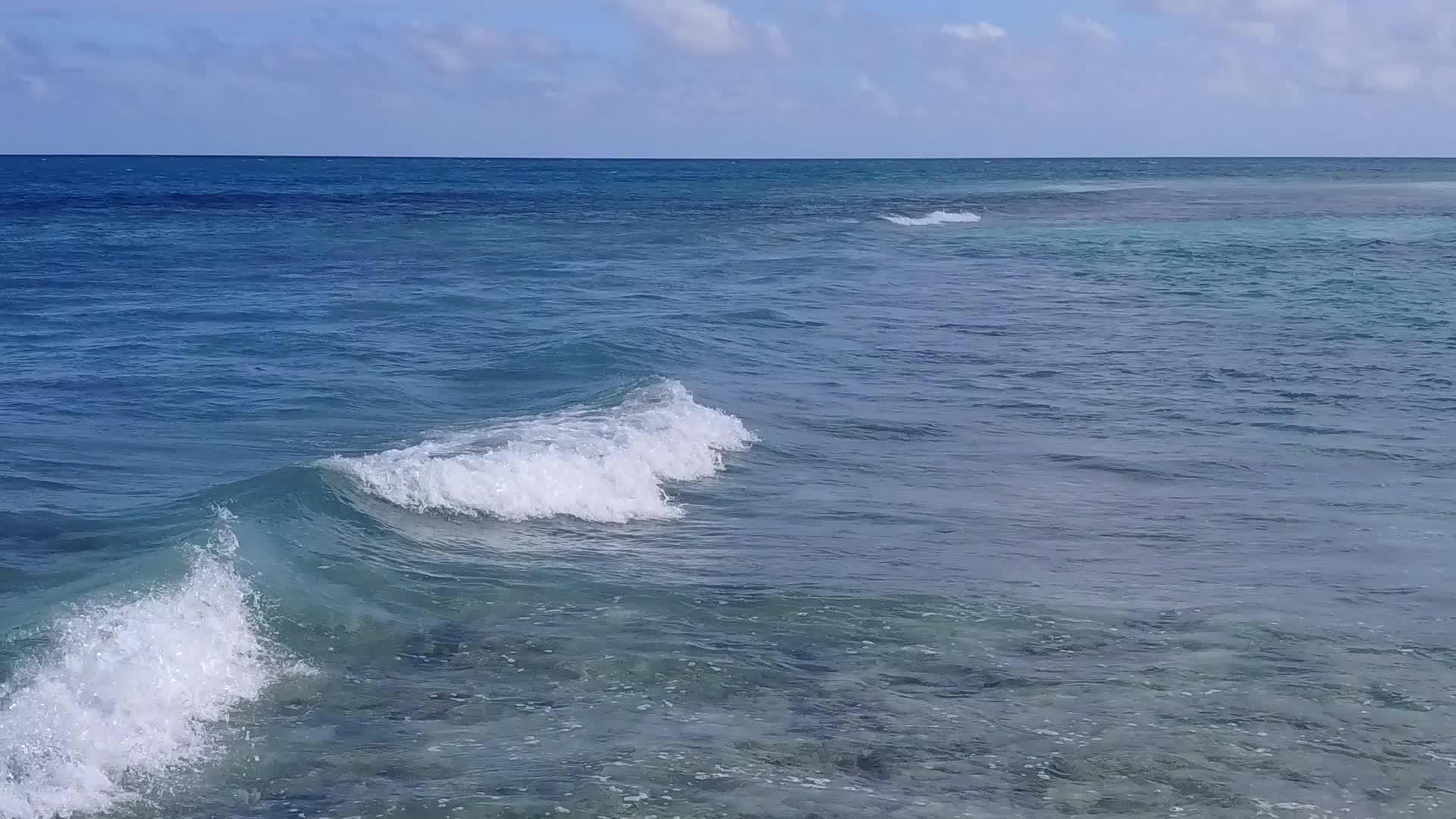 白沙海滩附近的蓝海和棕榈视频的预览图