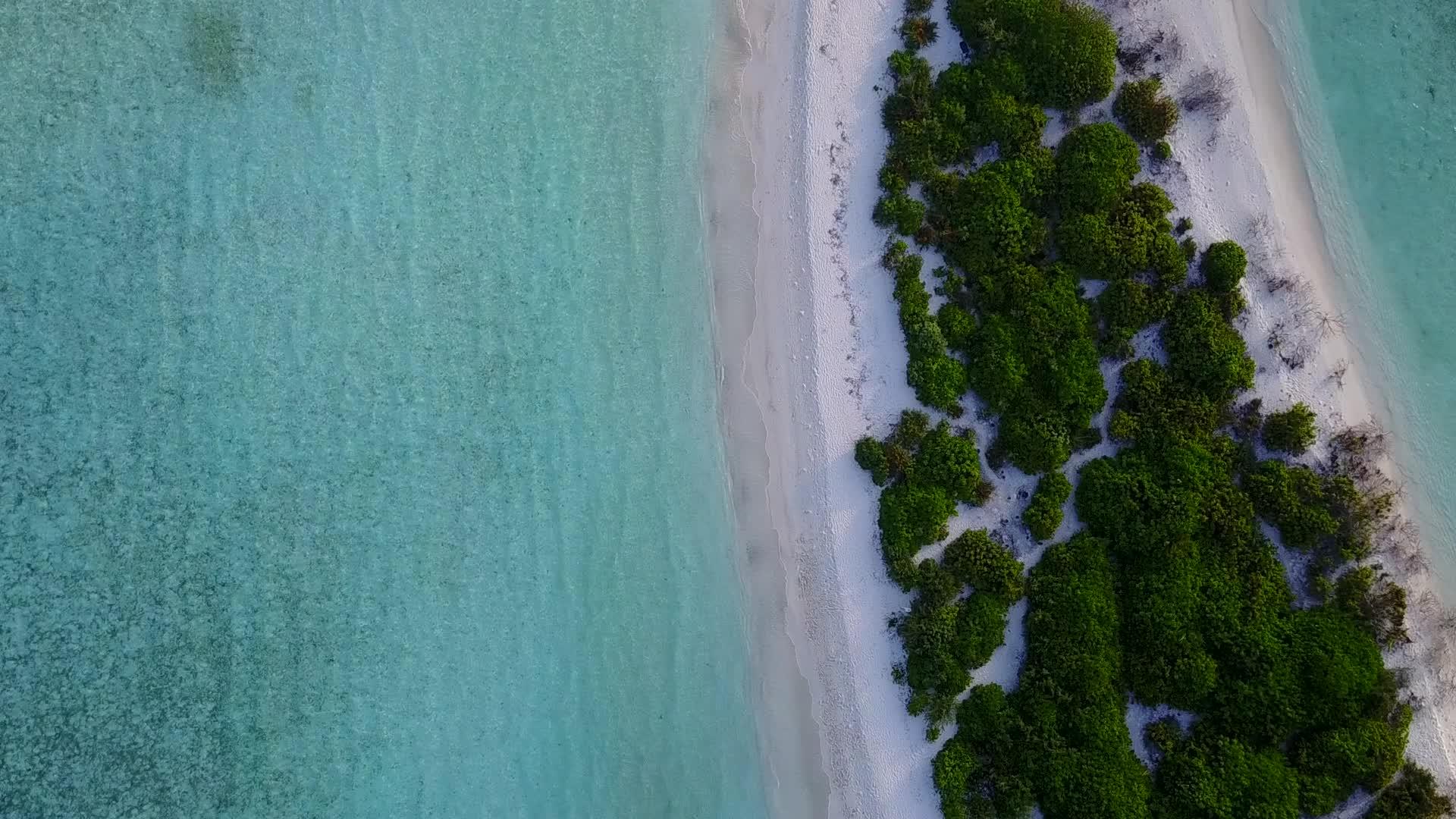 日落前有一个白色沙滩背景的蓝色环礁湖视频的预览图