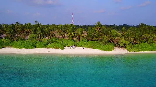 棕榈树附近有蓝色海洋的豪华岛屿有白沙背景视频的预览图