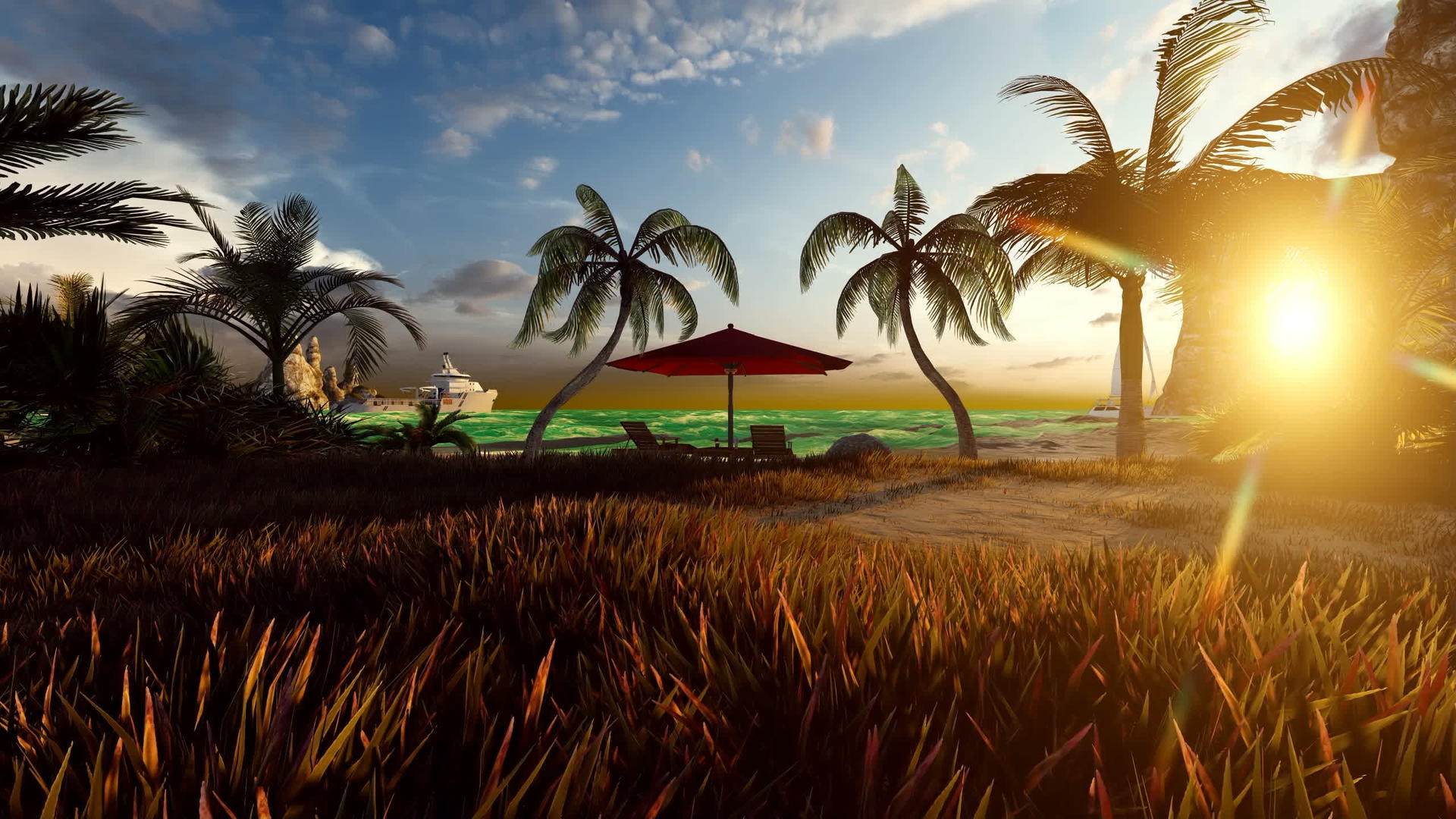 日落时的野生海滩视频的预览图