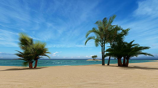 空海滩上有棕榈树视频的预览图