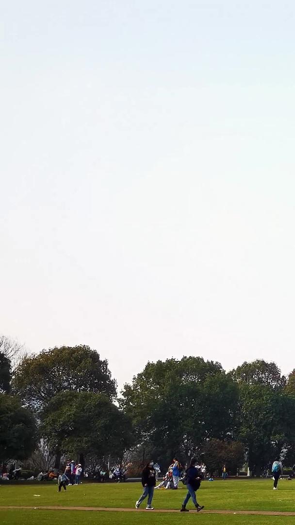 春季放风筝的实拍视频的预览图