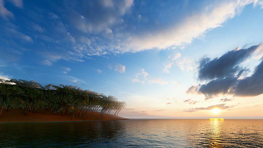 日落时棕榈树的平静景象视频的预览图