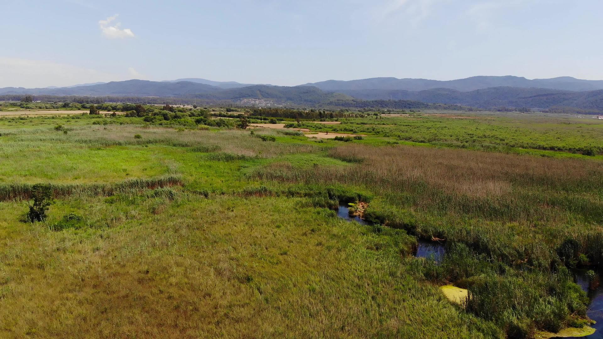 郁郁葱葱的爱琴海沼泽18空中视频的预览图
