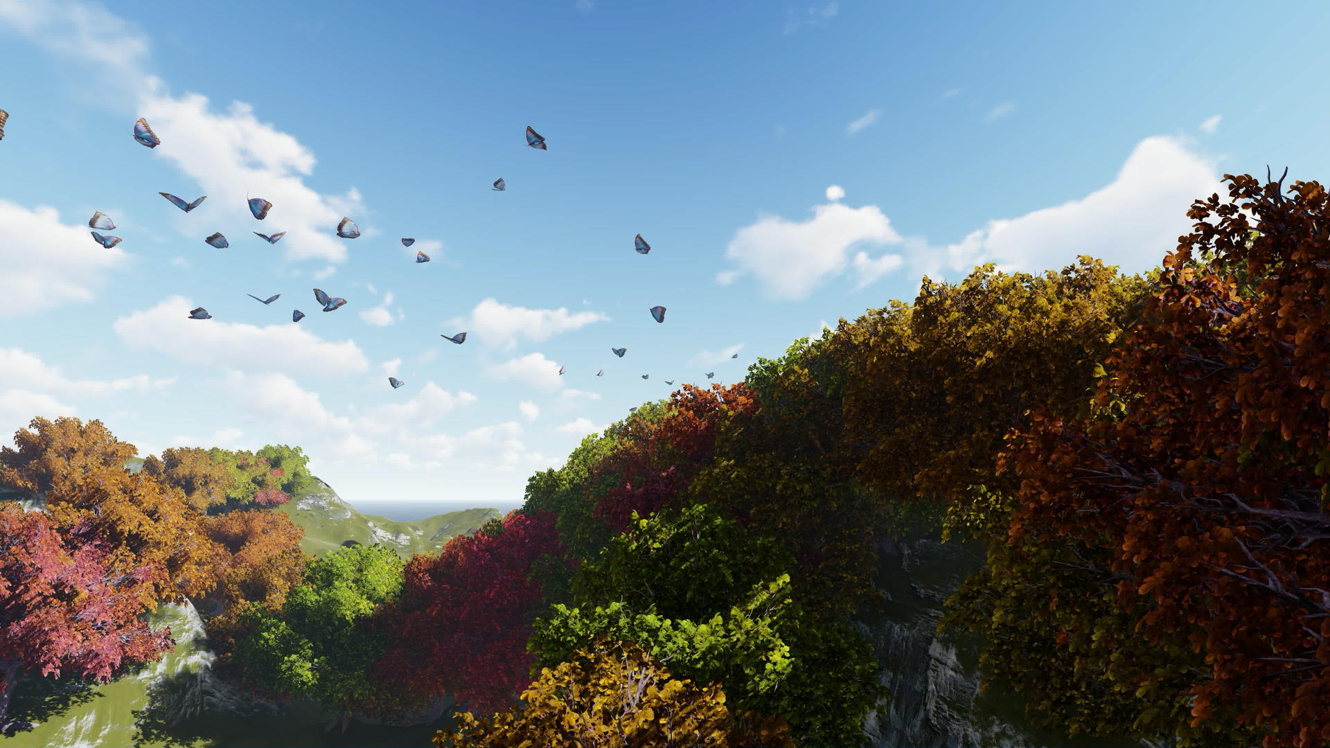 多彩的森林倾斜湖和在背景上方飞翔的蝴蝶视频的预览图