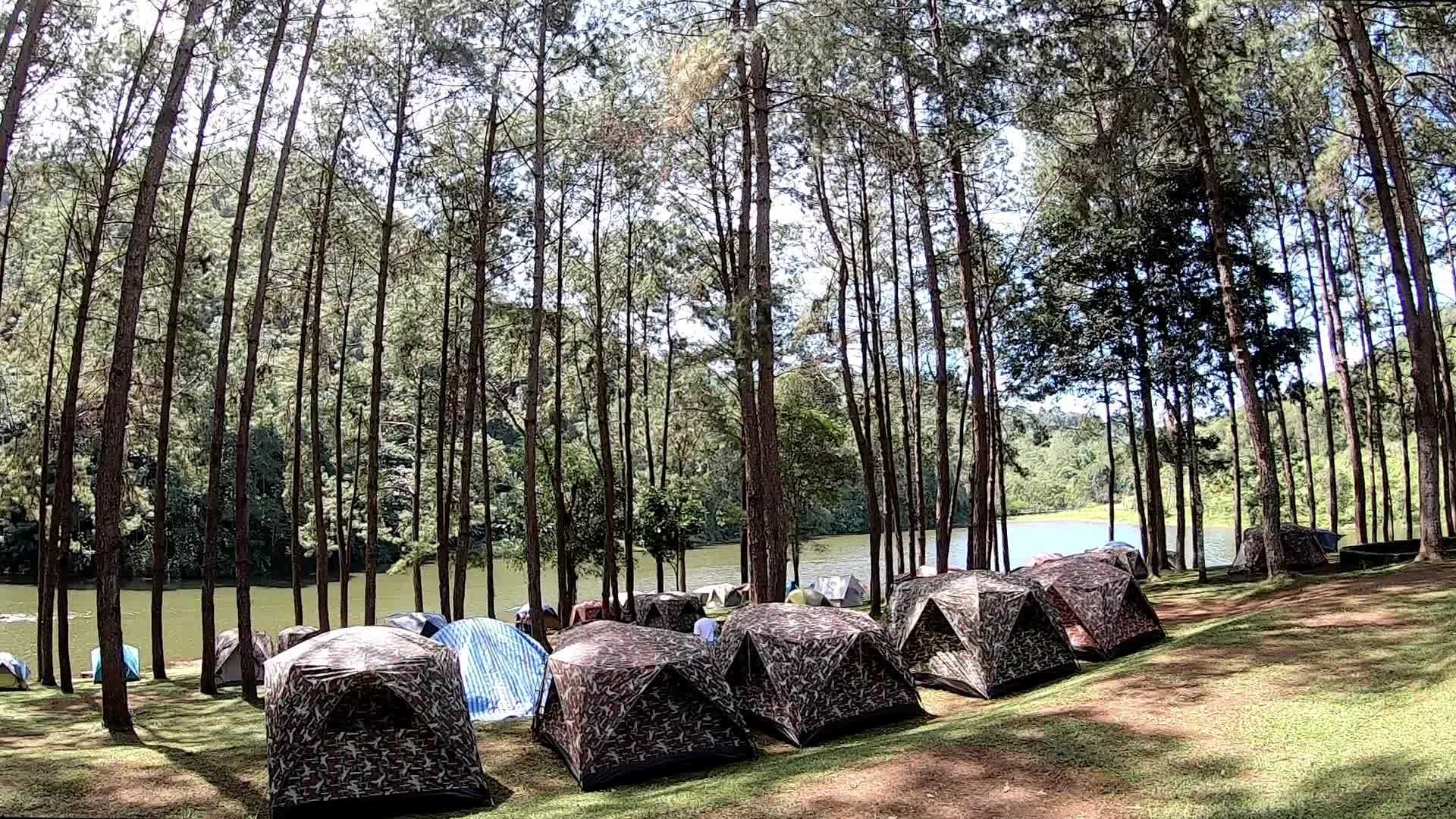 松树森林背景中有许多当地帐篷Watar和山下从右视频的预览图