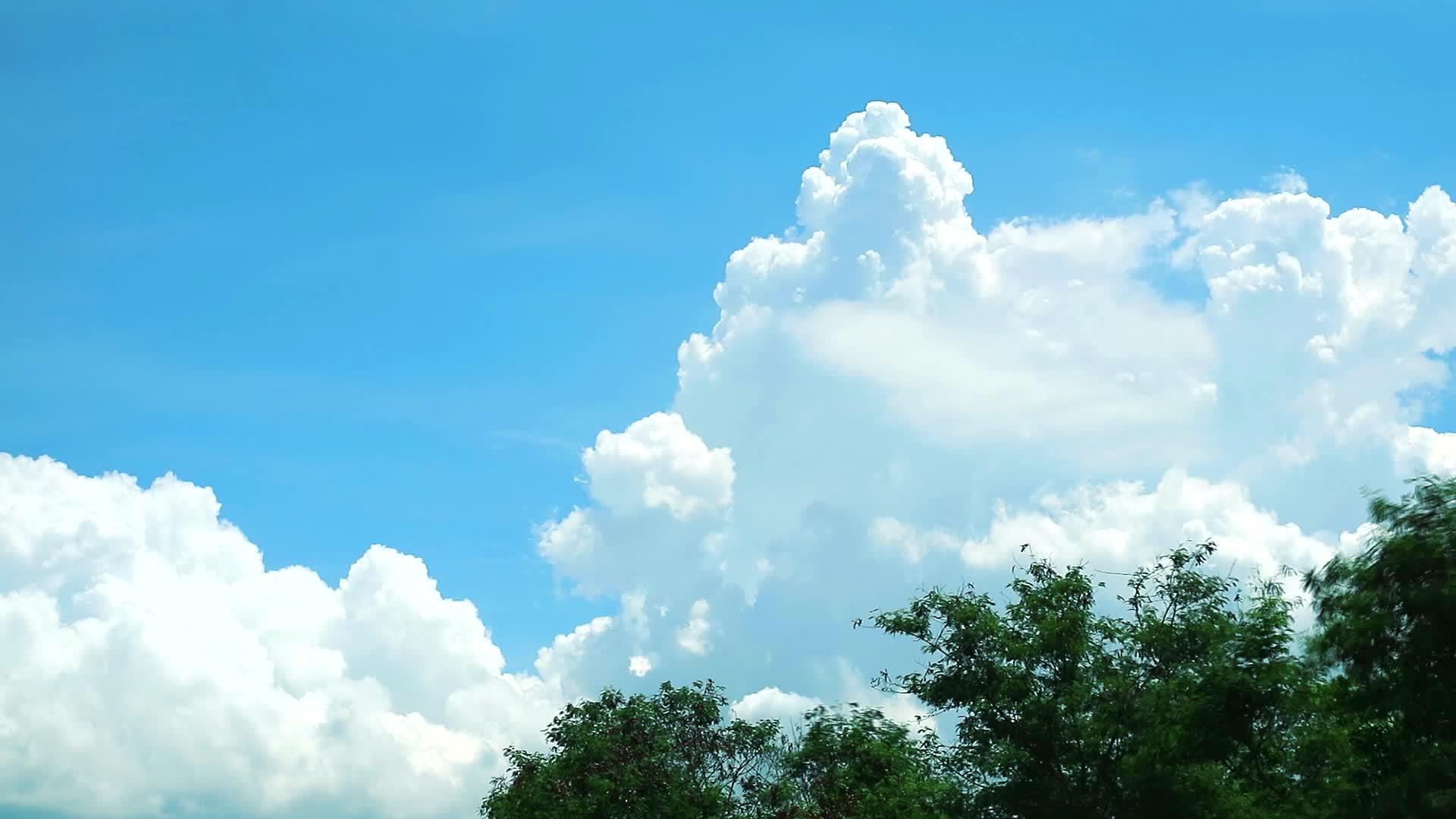 蓝天的白云在树顶后面移动视频的预览图