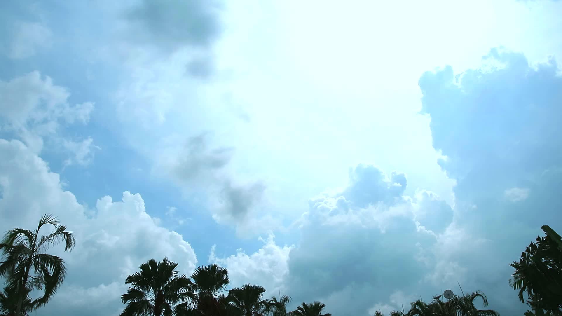 蓝天中的白云随风移动超过顶部棕榈色的时间间隔视频的预览图
