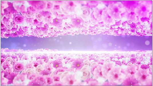 粉色花海背景视频的预览图