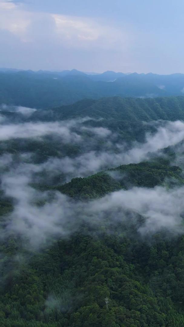 景色重庆四面山林大自然云雾缭绕视频的预览图