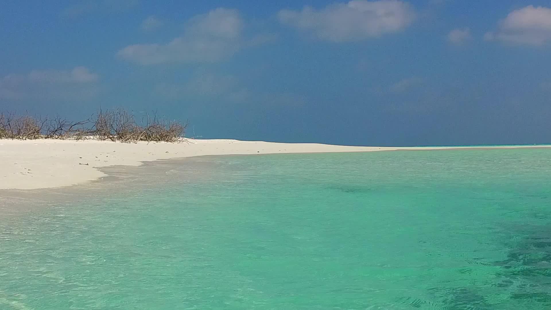 棕榈树附近的蓝环礁和白沙背景下宁静的海滩野生动物的温暖视频的预览图