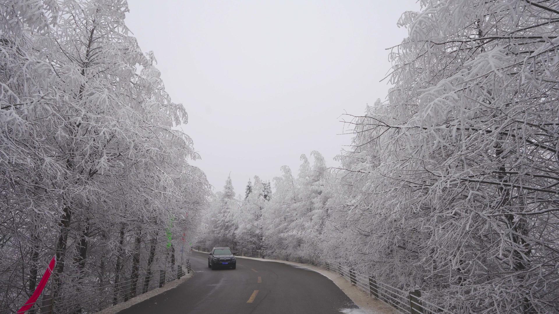 开车通过仙女山美丽雾凇雪景大道视频的预览图