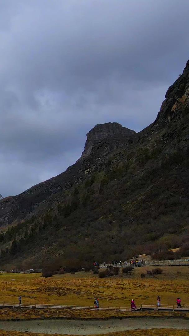 秋高原地区雪山牧场航拍视频的预览图