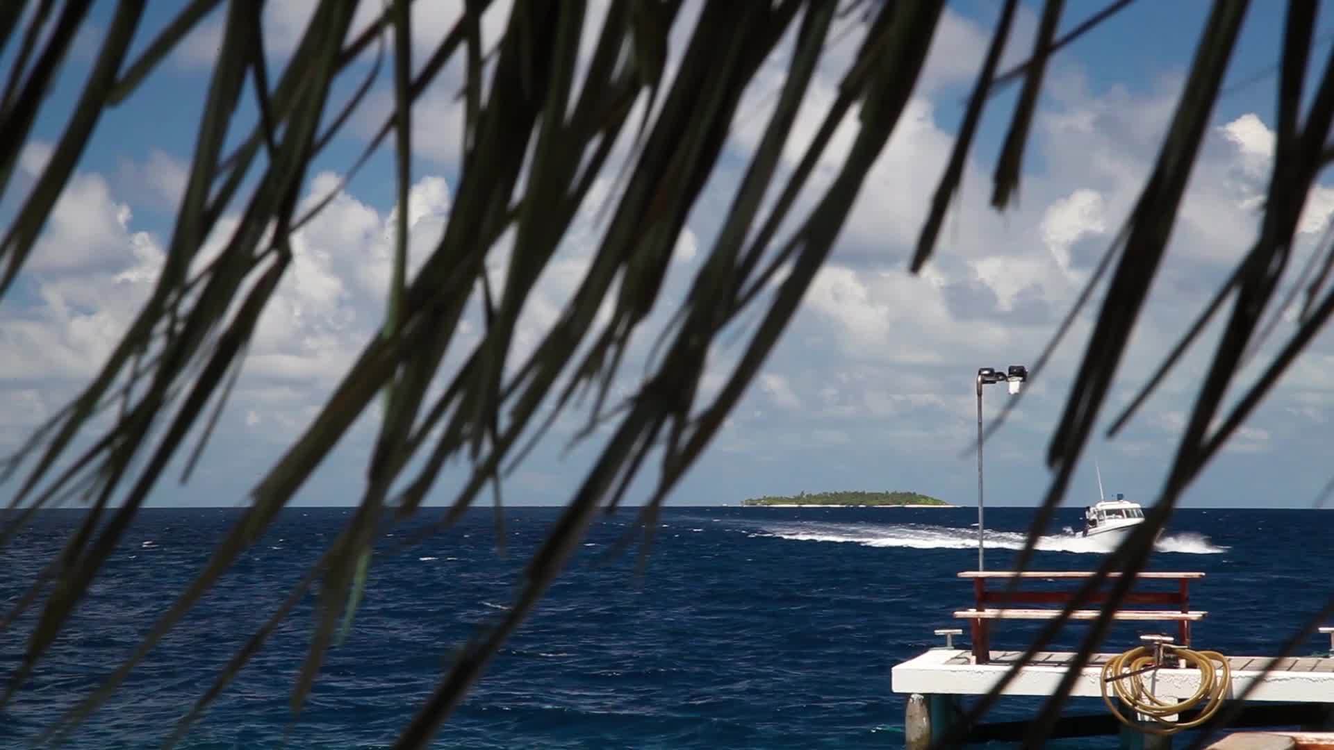 游艇和游客一起来到岛上视频的预览图