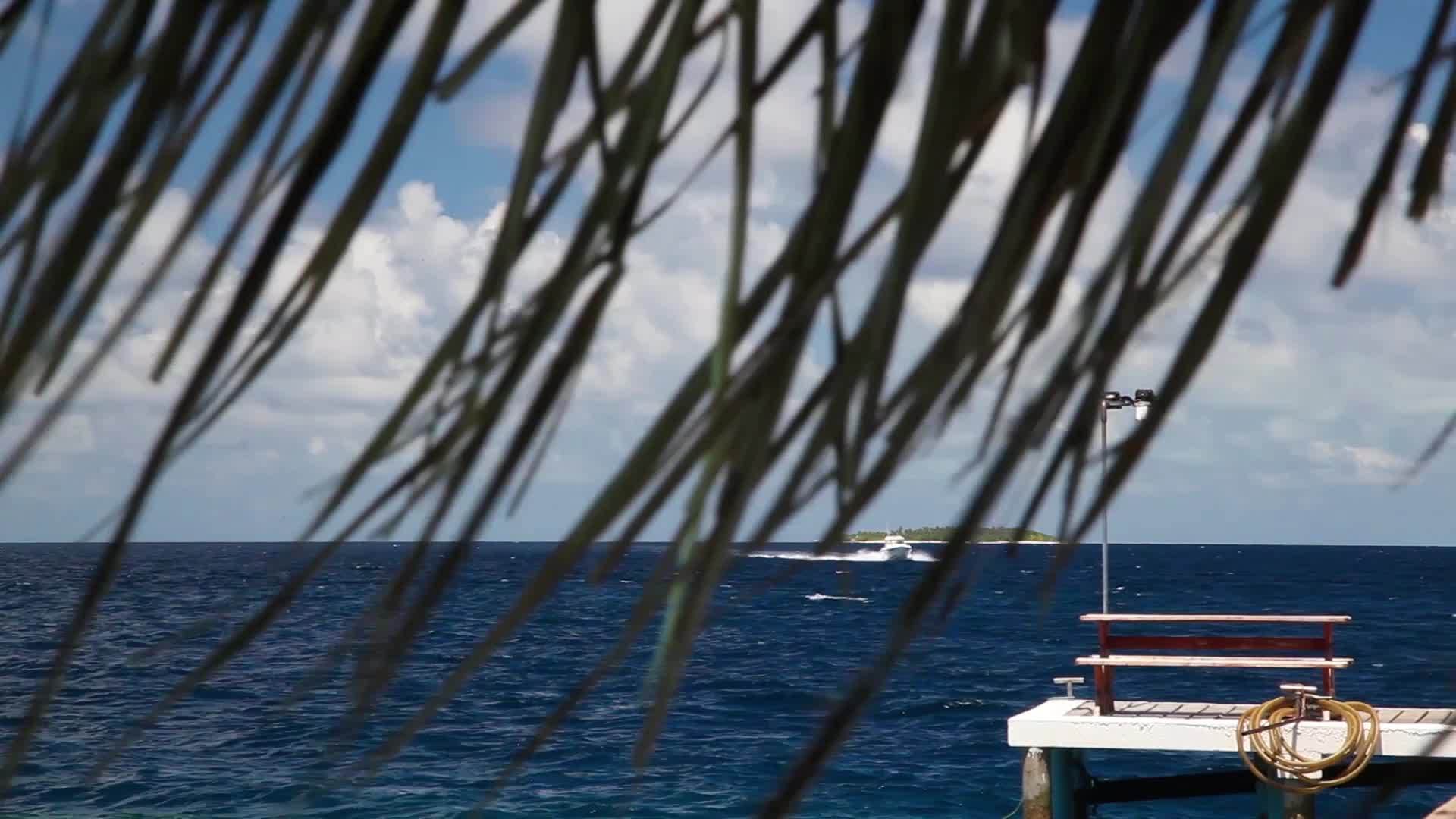 一艘水龙头快艇在海上航行视频的预览图