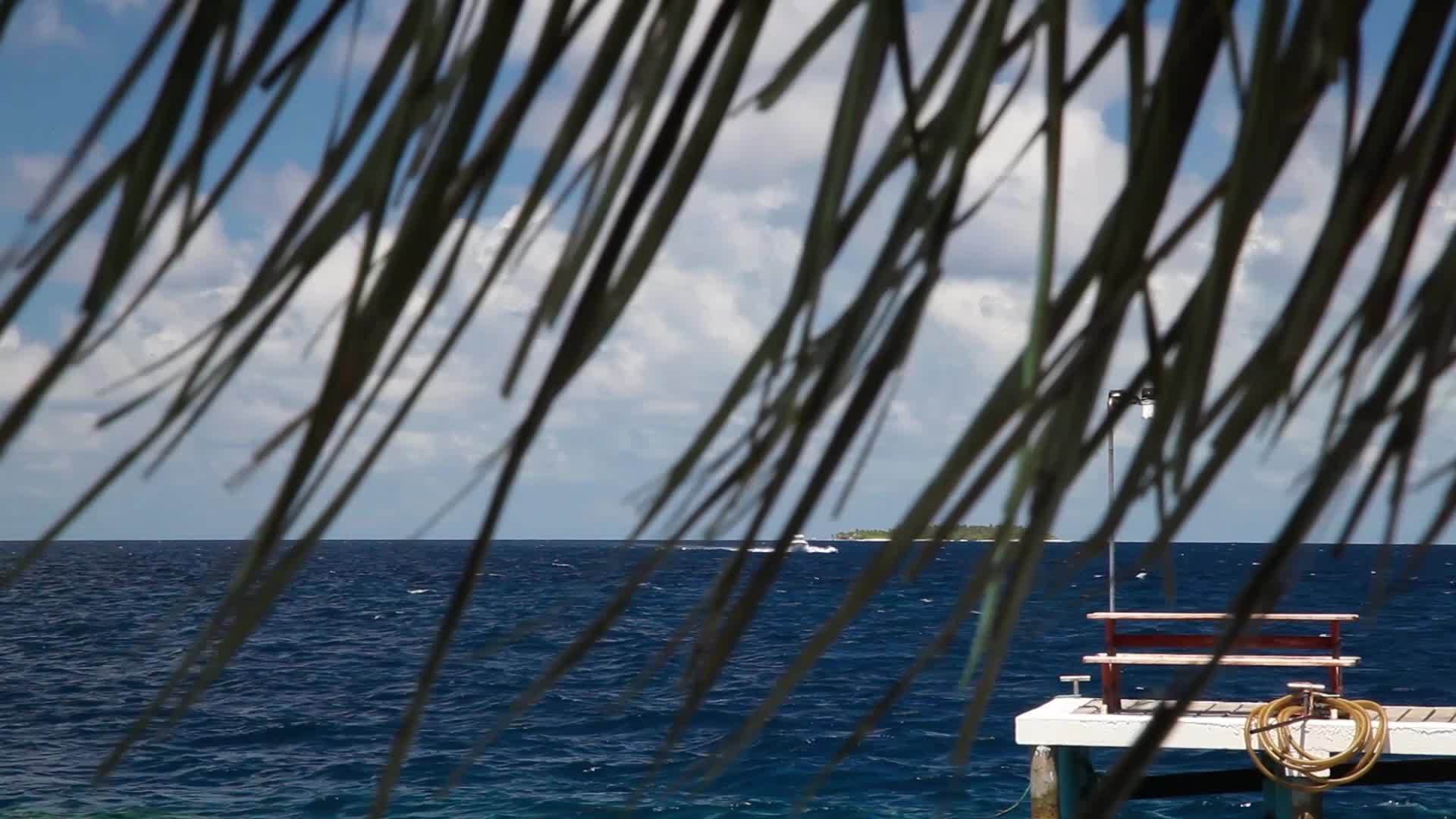 一艘水龙头快艇在海上航行视频的预览图