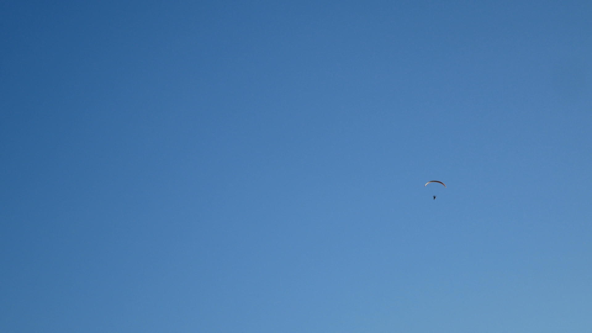降落伞活动五颜六色的降落伞翼和乘客在蓝天多云的天空中视频的预览图