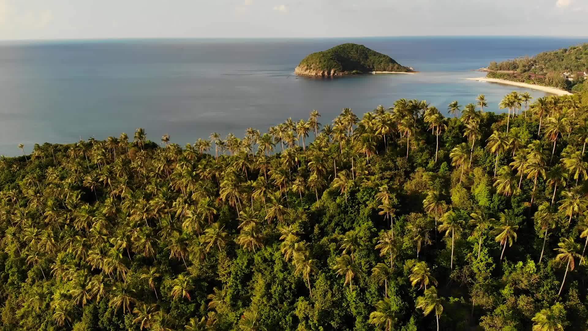 空中无人机查看泰国帕岸岛小马岛的异国情调海岸全景视频的预览图