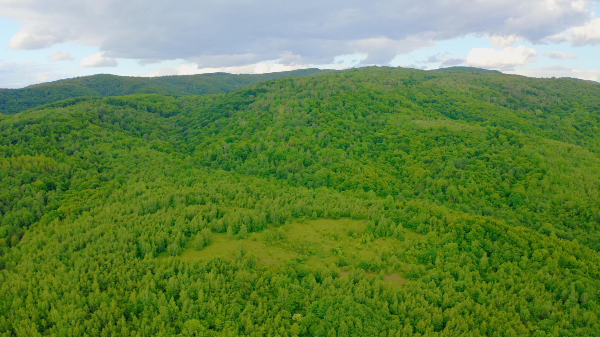 观察高地绿色森林的空气视频的预览图