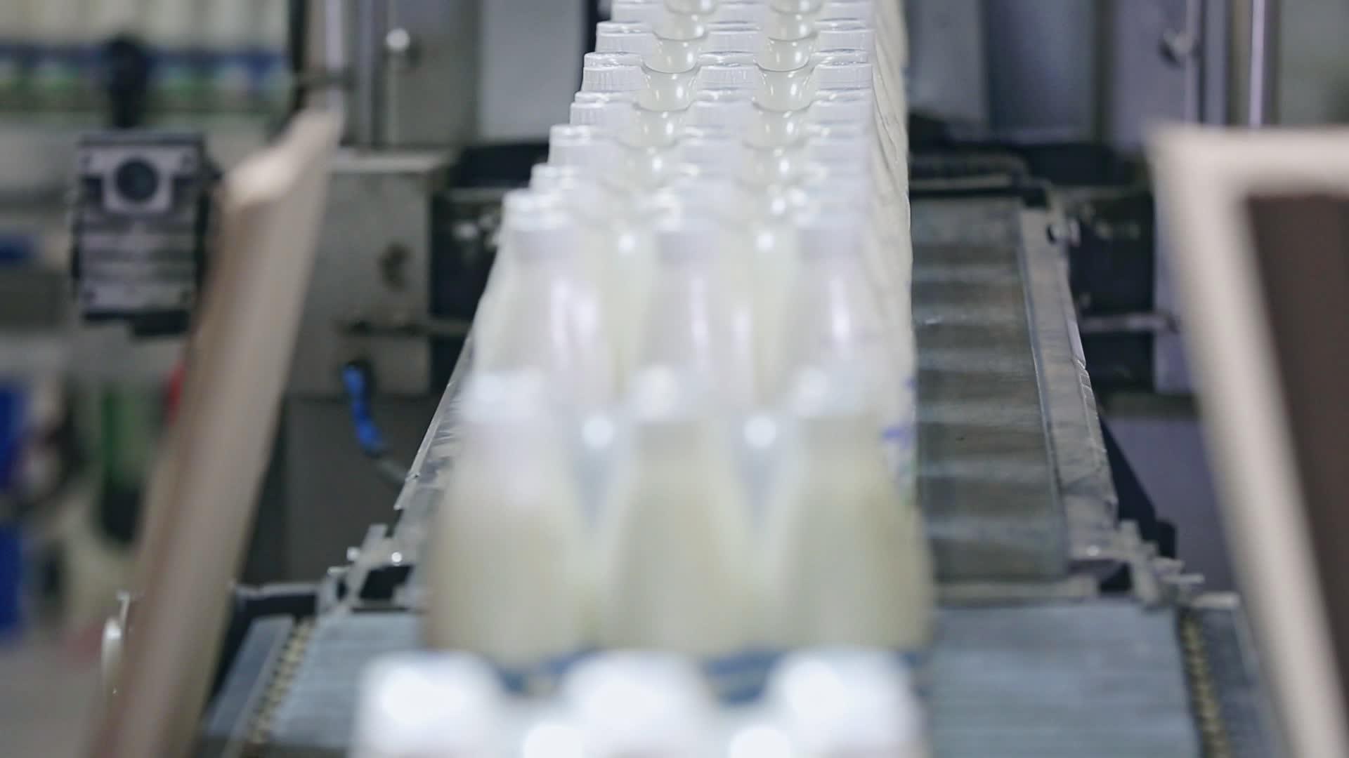 牛奶包装线输送到包装瓶上视频的预览图