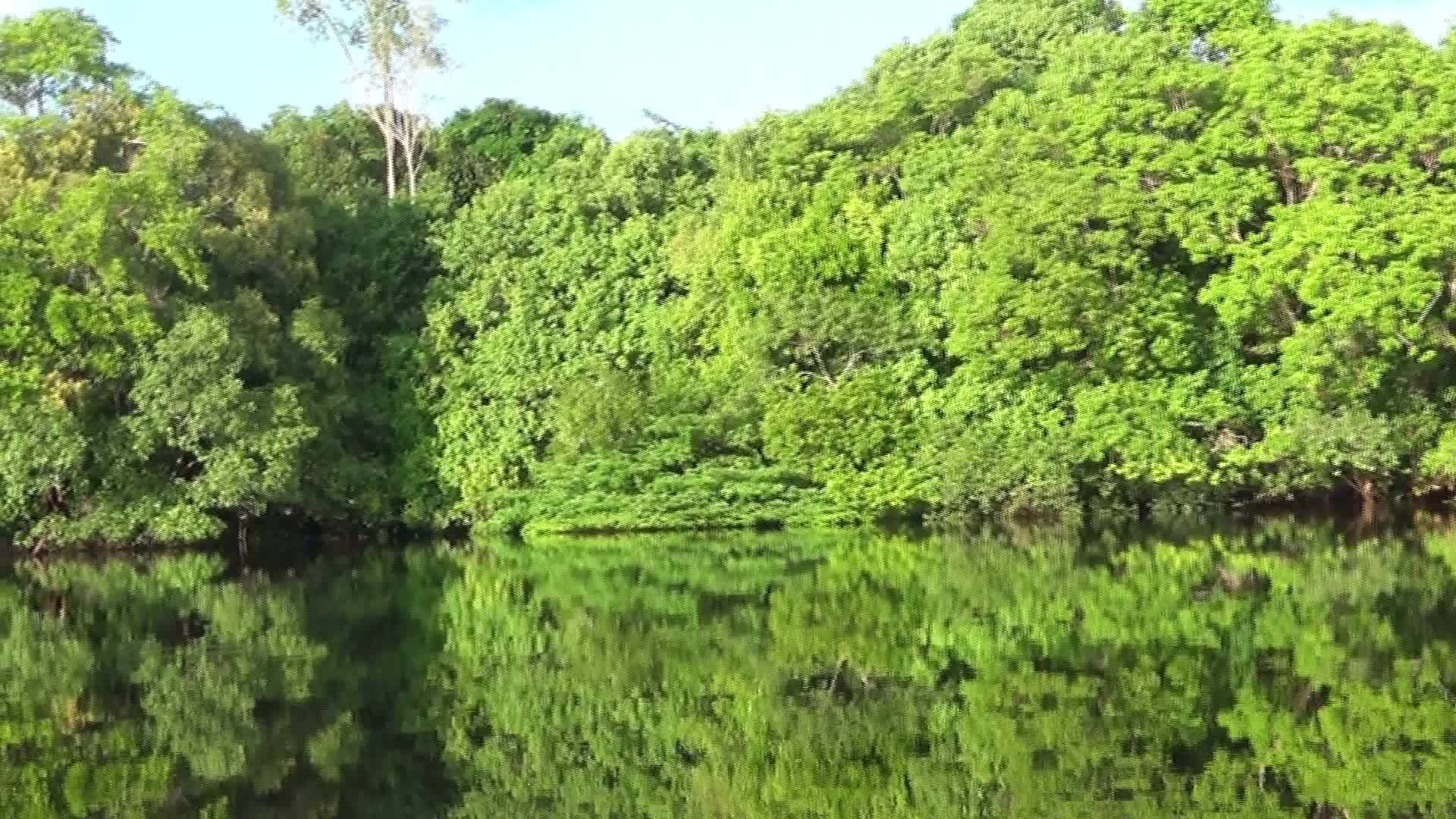 在里奥内格罗水域及其分支马扎诺尼亚布拉齐尔航行视频的预览图