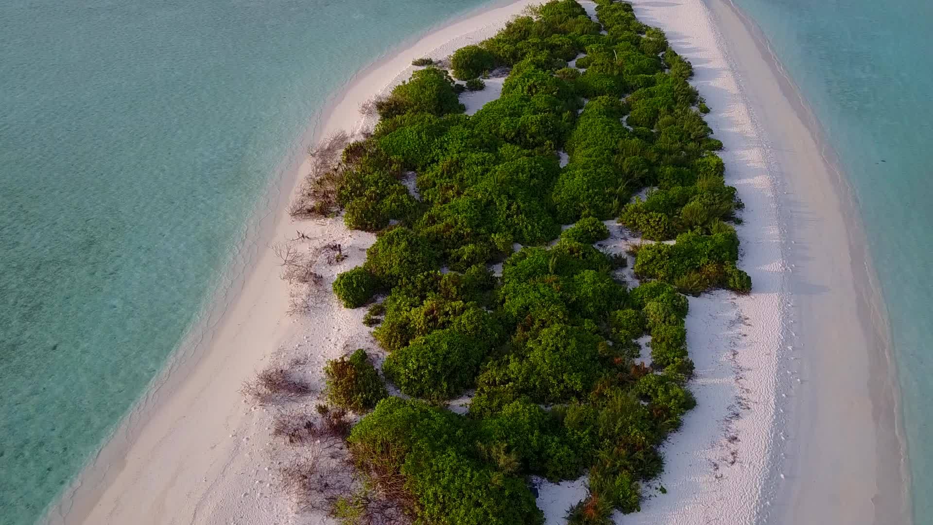 在蓝色泻湖和白沙的背景下热带旅游海滩度假视频的预览图