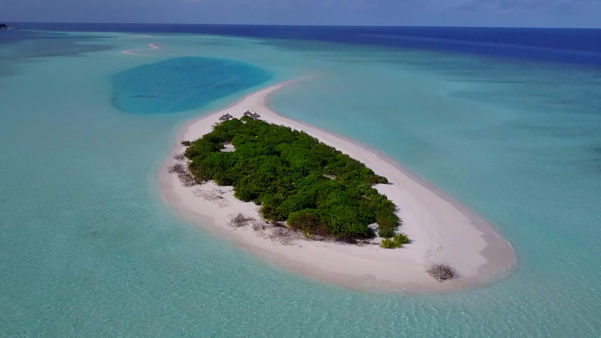 宁静的旅游海滩野生生物以蓝海和白沙为背景视频的预览图