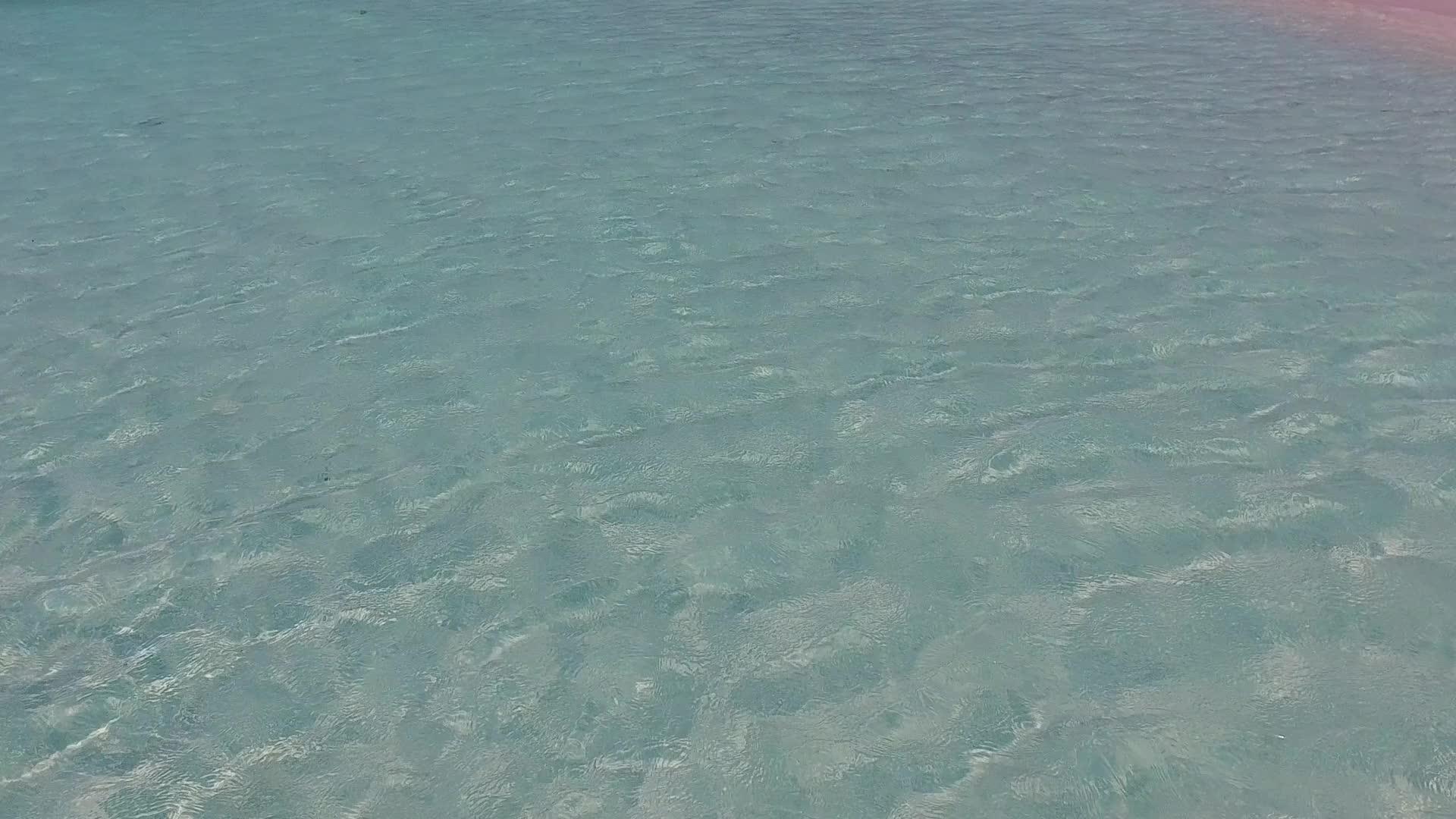 欣赏美丽的海岸海滩生活方式视频的预览图