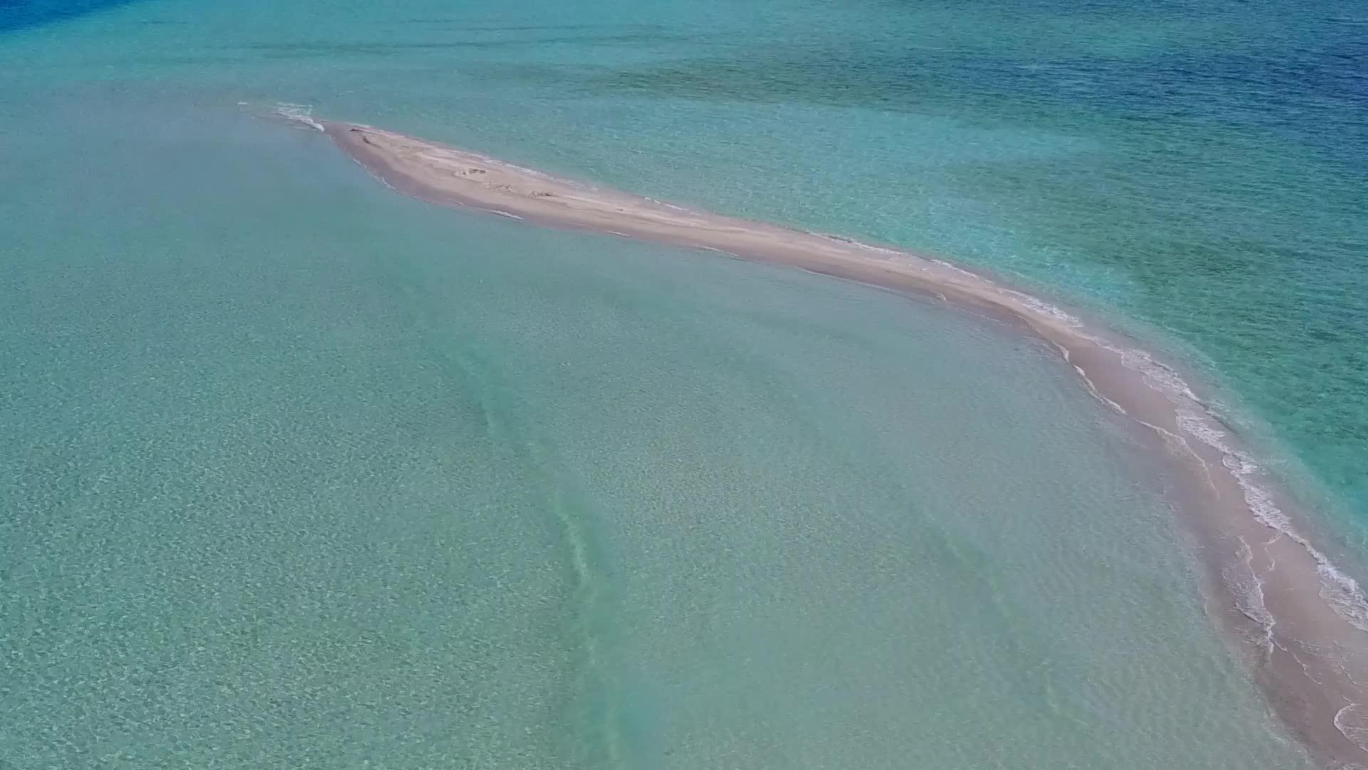 在浅海和亮沙的背景下天堂湾海滩野生动物的无人机空气性质视频的预览图