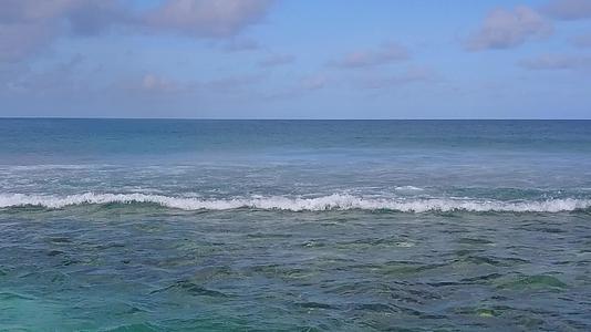 海洋环礁湖海滩野生生物以白沙为背景的海平面蓝海观察自然视频的预览图